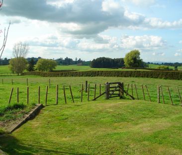 Country Cottage Close To Town - Photo 1