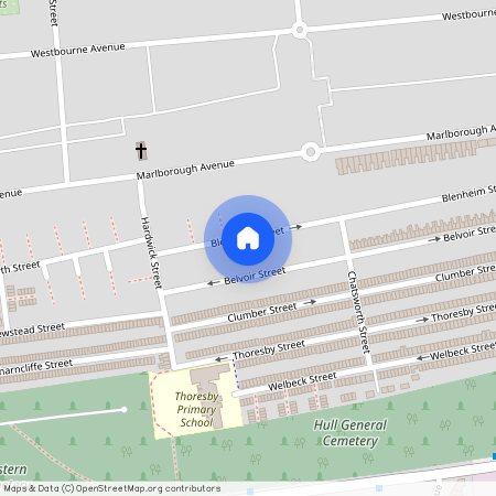 Blenheim Street, Hull, HU5