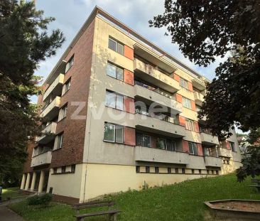 Prostorný byt 3+1 pro 4 studenty (za os. 5.500,- Kč), pěkná a klidn... - Photo 6