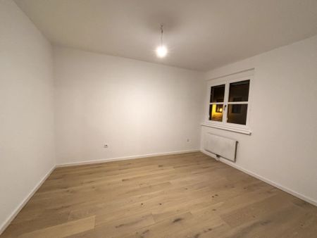 1190! Generalsanierte 2-Zimmer Wohnung mit neuer Küche ab Dezember 24! - Photo 4