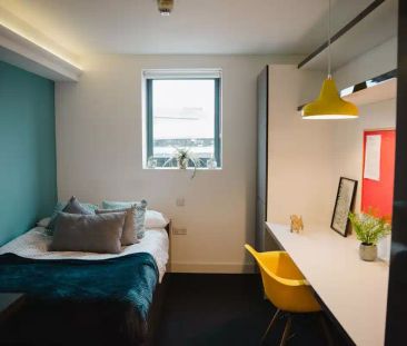 Standard Studio Plus - Photo 2