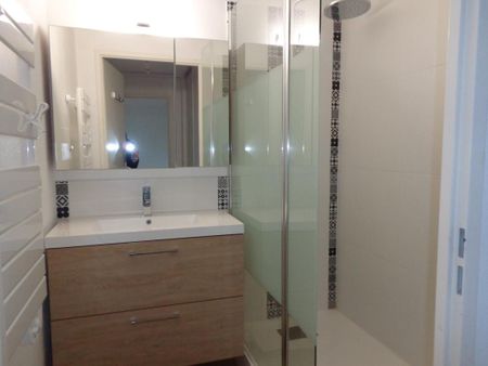 Location Appartement 2 pièces 44m² BLOIS 41000 - Photo 3