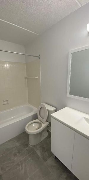 GRAND ET LUMINEUX 4.5 RÉNOVÉ DISPONIBLE 1er AVRIL 2025 - Photo 1