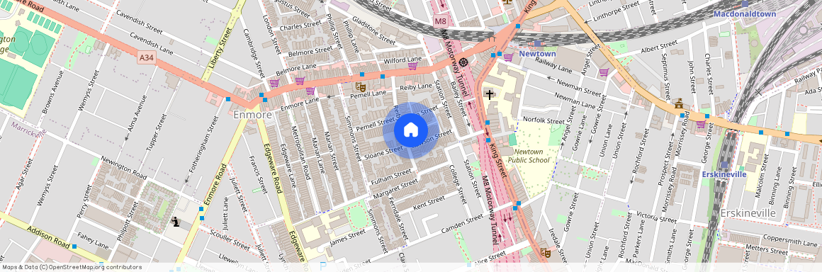 48 Reiby Street, Newtown, NSW 2042