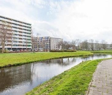 Cruquiuslaan 0ong, 2332 Leiden, Nederland - Photo 1