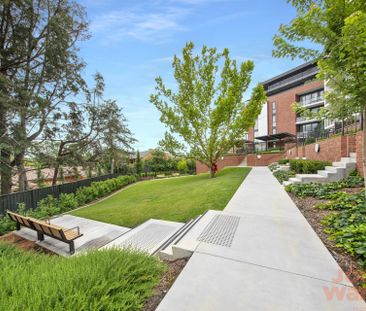 29/7 Light Street, Griffith ACT 2603 - Apartment For Rent | Domain - Photo 2