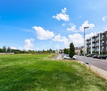 29 Orchard Hall, Diswellstown Avenue, Hamilton Park, Dublin 15, Cou... - Photo 6