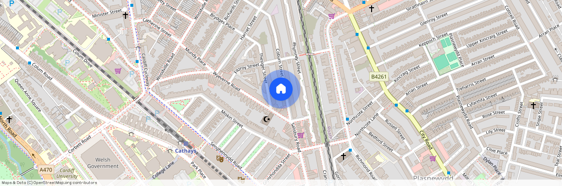Coburn Street, CF24 4BQ, Cathays