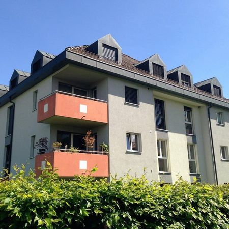 3 Zimmer, 76 m², 2. Stock - Photo 4