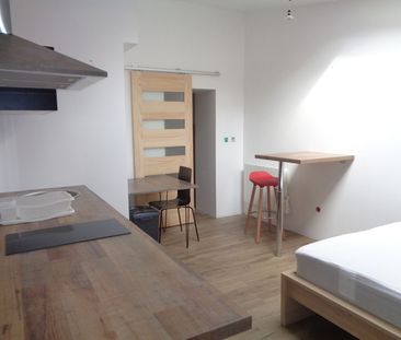 Location Appartement 1 pièce 19m² - Photo 2