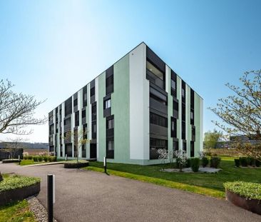 Family dream home in Bülach - Photo 5