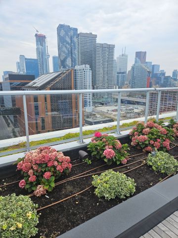 For Lease - 15 Merchant's Wharf N/A Unit# 244, Toronto, Ontario - Photo 2