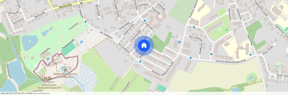 Professor-Willkomm-Str. 1b, 09212 Sachsen - Limbach-Oberfrohna