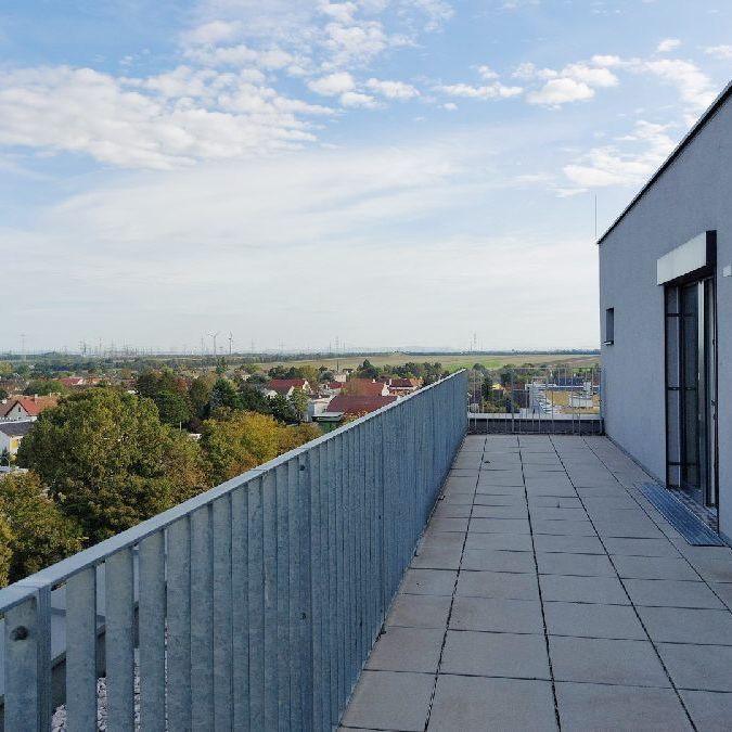 2 Balkone, Ubahn und Kurpark U1 Oberlaa - Foto 1