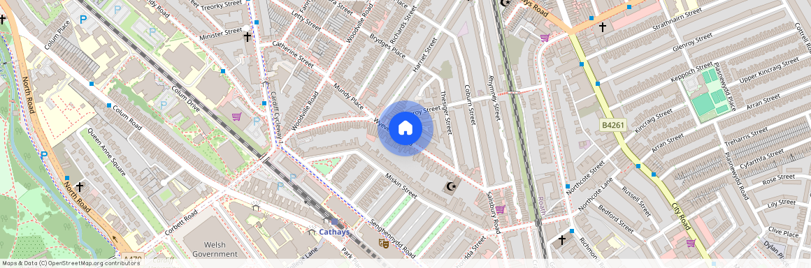 Wyeverne Road, CF24 4BH, Cathays