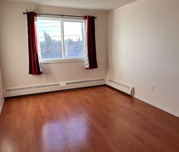 333 Garry Crescent Northeast, Calgary - Photo 6