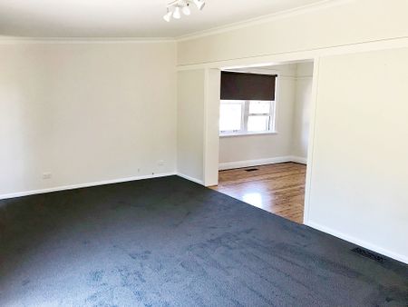 Sweet Schubach! - Photo 2