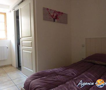 Location Appartement 1 pièce 29m² OLONZAC 34210 - Photo 3