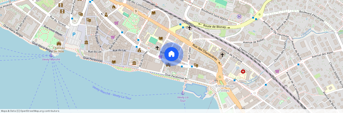 Rue Du Collège 19, 1800 Vevey