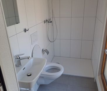 Magnifique appartement tout rénové au centre-ville - Photo 4