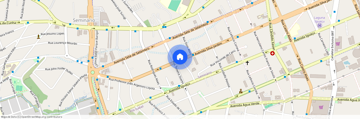 Avenida Silva Jardim, Seminário, PR, Curitiba