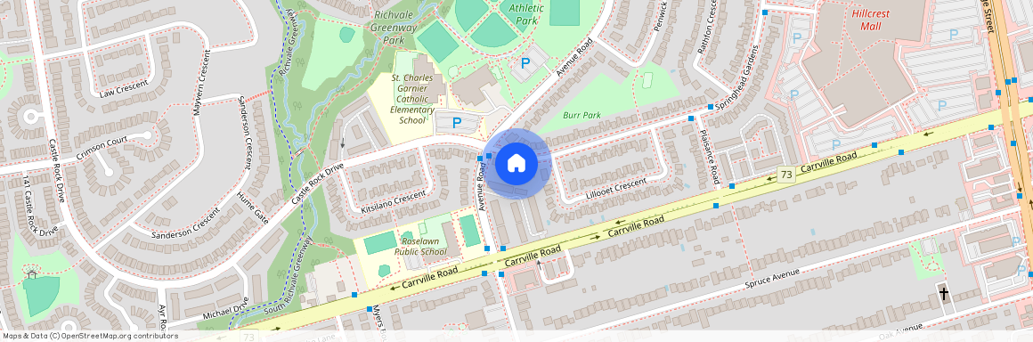 15 Springhead Gardens Unit# Basement, Richmond Hill