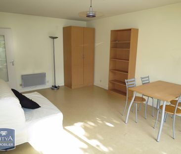 Location Appartement 1 pièce 29m² GRENOBLE 38000 - Photo 1
