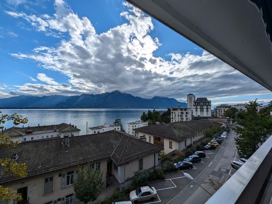 Magnifique appartement entièrement refait de 3.5 pièces avec vue - Photo 1