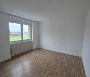 Luminous 4.5-room apartment in Langenthal - Photo 3