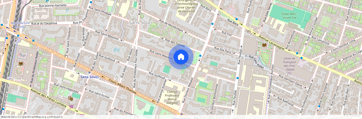 77 CRS ALBERT THOMAS, 49/51 RUE P SISLEY, LYON 3EME ARRONDISSEMENT Saint-Maximin-Sisley