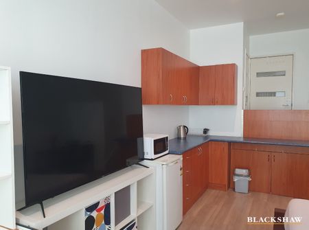 8A/60 Callum Street, Phillip ACT 2606 - Apartment For Rent | Domain - Photo 4