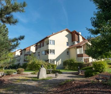 Gemütliche 2-Zimmer-Wohnung in Kirchdorf mit Garten - Foto 3