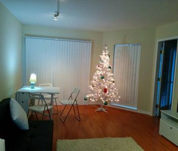 Bright Furnished 1Br+Den Close to VGH - Photo 3