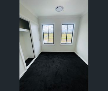 Modern Home in Rouse Hill - Photo 2