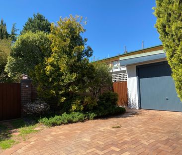 Armidale CBD - Photo 4