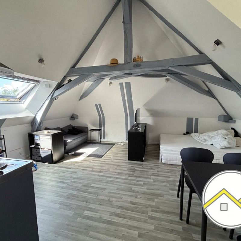 Location Appartement 1 pièce Meublé 23m² CHATEAUBRIANT 44110 - Photo 1