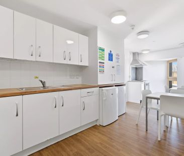 Accessible Ensuite - Photo 6