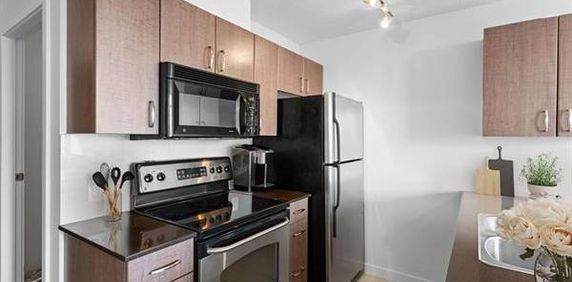 1 BR - 1 Den with Balcony, heart of DT "The Hudson" - Photo 2