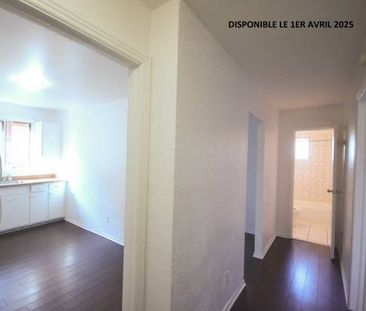 logement a louer - Photo 4