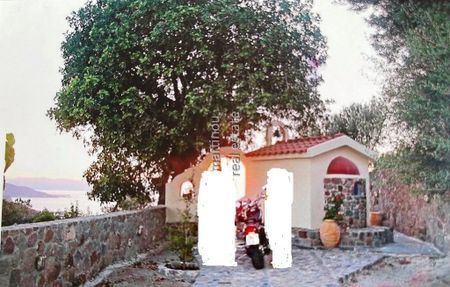 Μονοκατοικία για ενοικίαση Σφεντούρι (Αίγινα) - Photo 4