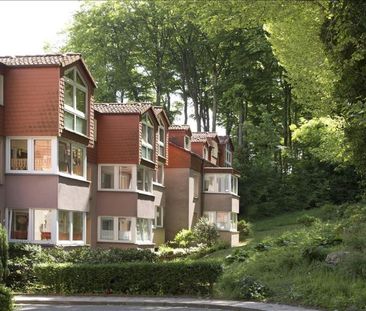 Gemütliche Wohnung sucht neuen Mieter - Photo 1