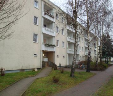 Neuwertige 3- Raumwohnung in Velgast ab 11/2025 frei! - Foto 1