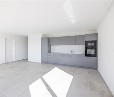 3.5 Zimmer, EG - Photo 1