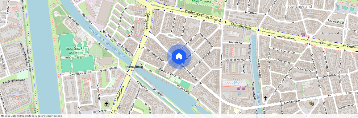 Laan van Nieuw-Guinea, Spinozaweg e.o., 3531 JE, Laan van Nieuw-Guinea, Utrecht