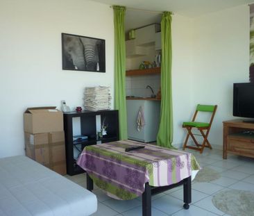 Appartement à louer 1 pièce • 19,69 m 2 Montpellier - Photo 3