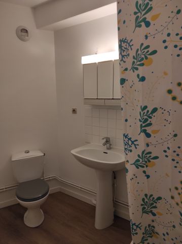 Location Appartement 2 pièces 40m² ORLEANS 45000 - Photo 4