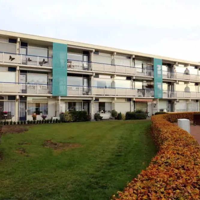 Appartement Heemskerkstraat 33, Winschoten - À louer - Photo 1