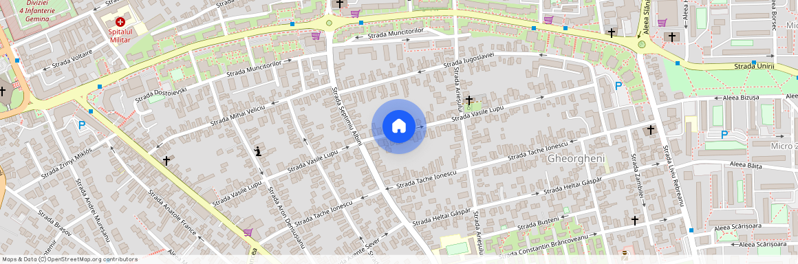 Strada Vasile Lupu, Gheorgheni, Cluj-Napoca, Zona Metropolitană Cluj, Cluj, 400458, România