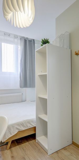 RACHAIS Colocation 4 chambres à Lyon 7e - Photo 1