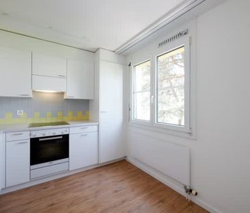 3.5 Zimmer, 92 m², EG - Foto 1